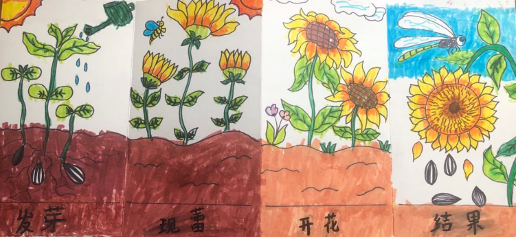 一6班暑期长程作业_html_4c91193c.png