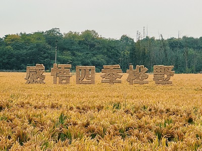 大1.JPG
