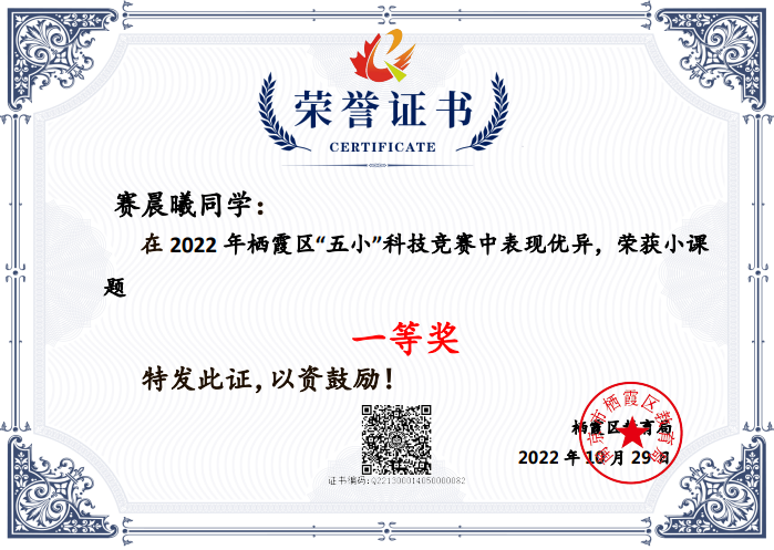 2022五小喜报_html_m65d77dae.png