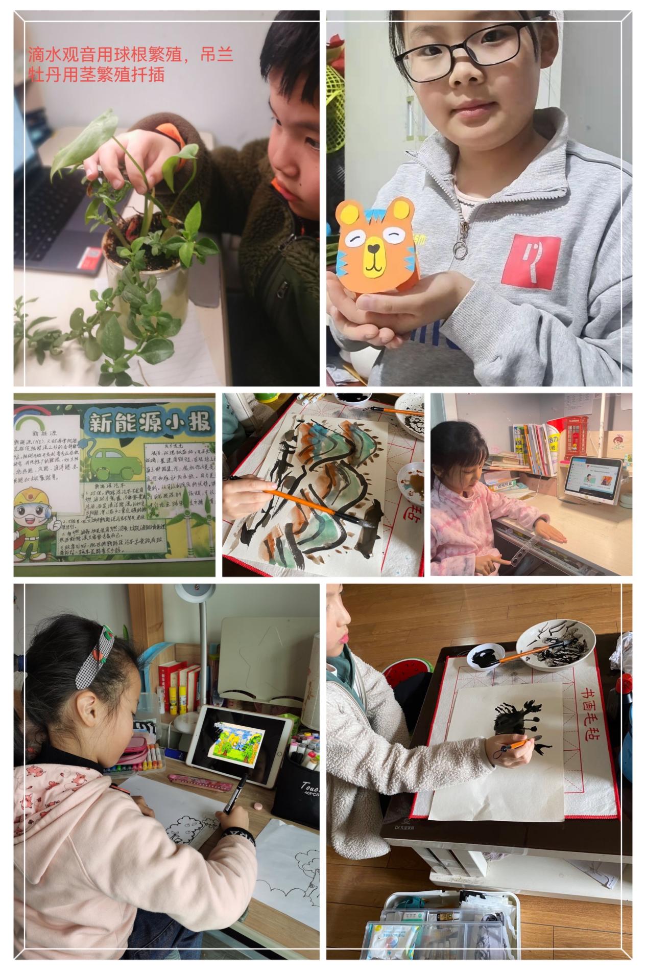 2022.4.13报道：线上学习亮点_html_md8d59f1.jpg