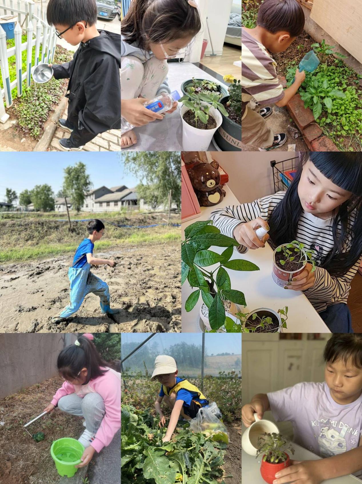 2025.05.09五一劳动实践周报道（周春波）_html_4fb5176.jpg