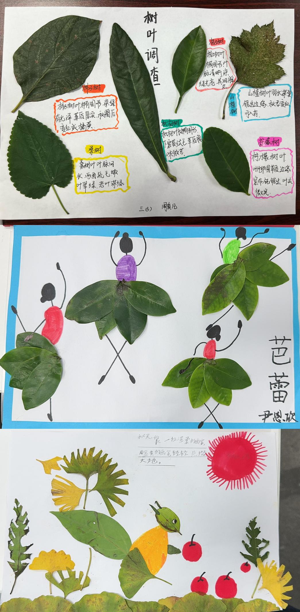 2025.09.30秋季社会实践报道（程娟）_html_m2bb4b3e7.jpg