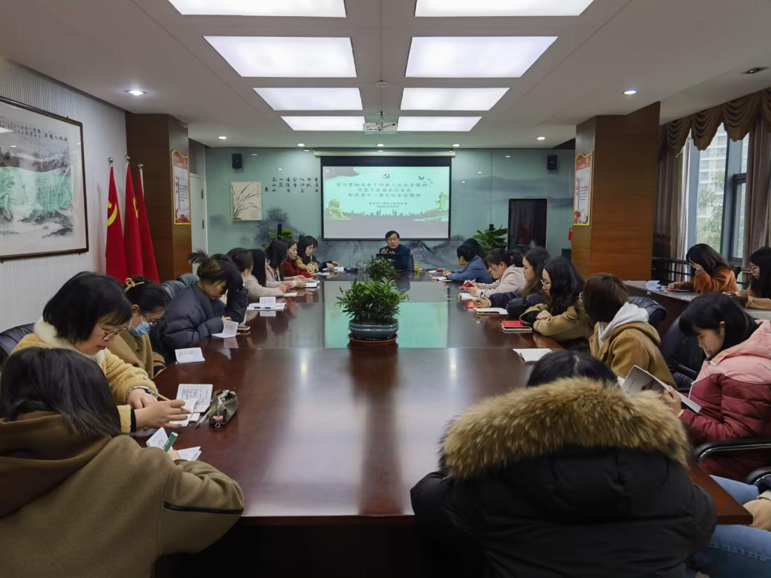 【丁香汉声·党建】南京市丁家庄小学党支部开展冬训专题学习会_html_176aef3c.jpg