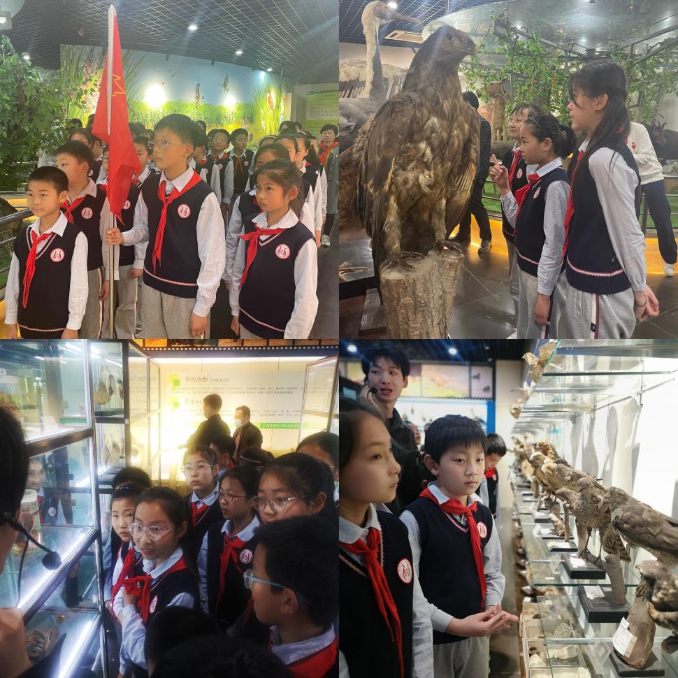 【丁香汉声·学生成长营】科普知识育童心 生物保护我先行(1)_html_185359d0.jpg