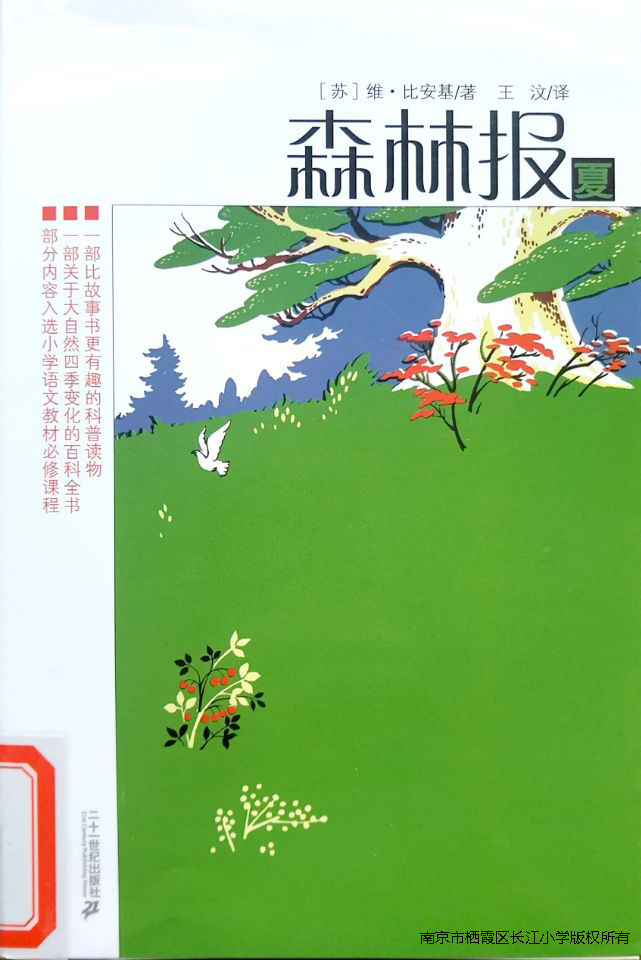 图片 10.png