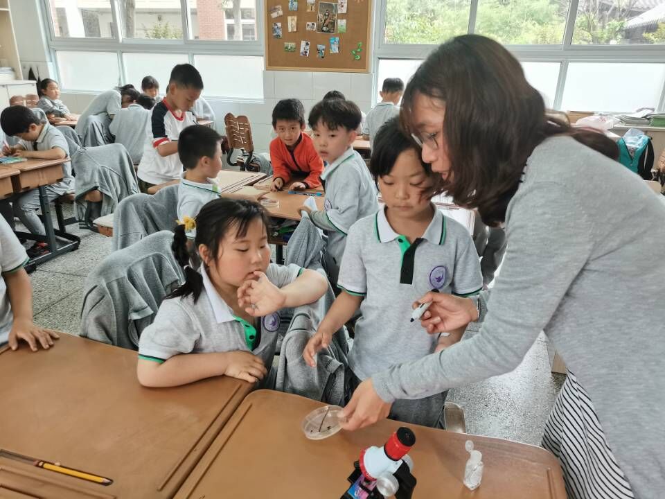 小小生物，大大学问—记紫金小学“知之学堂”