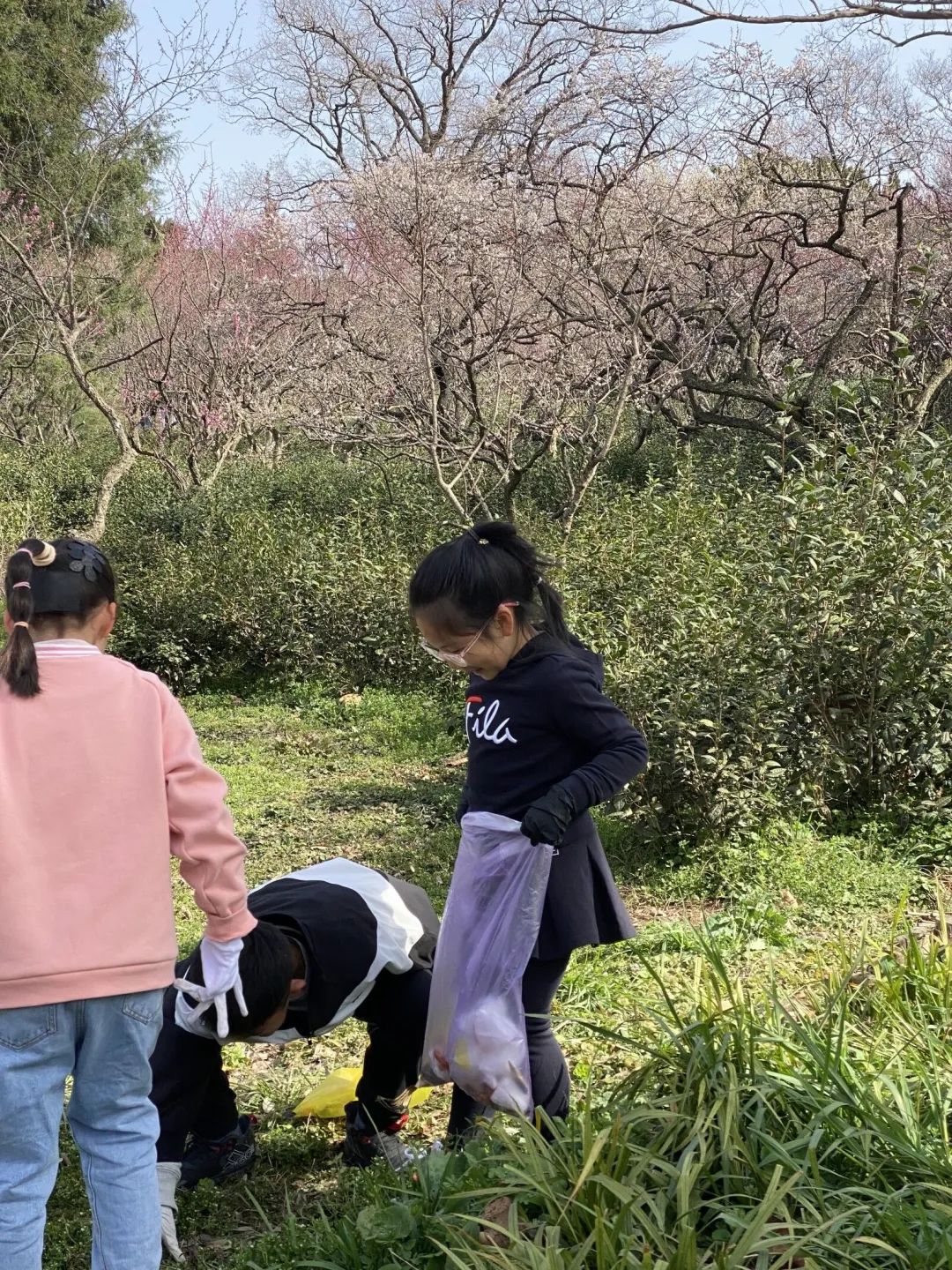 梅花山_html_m29c2b785.jpg