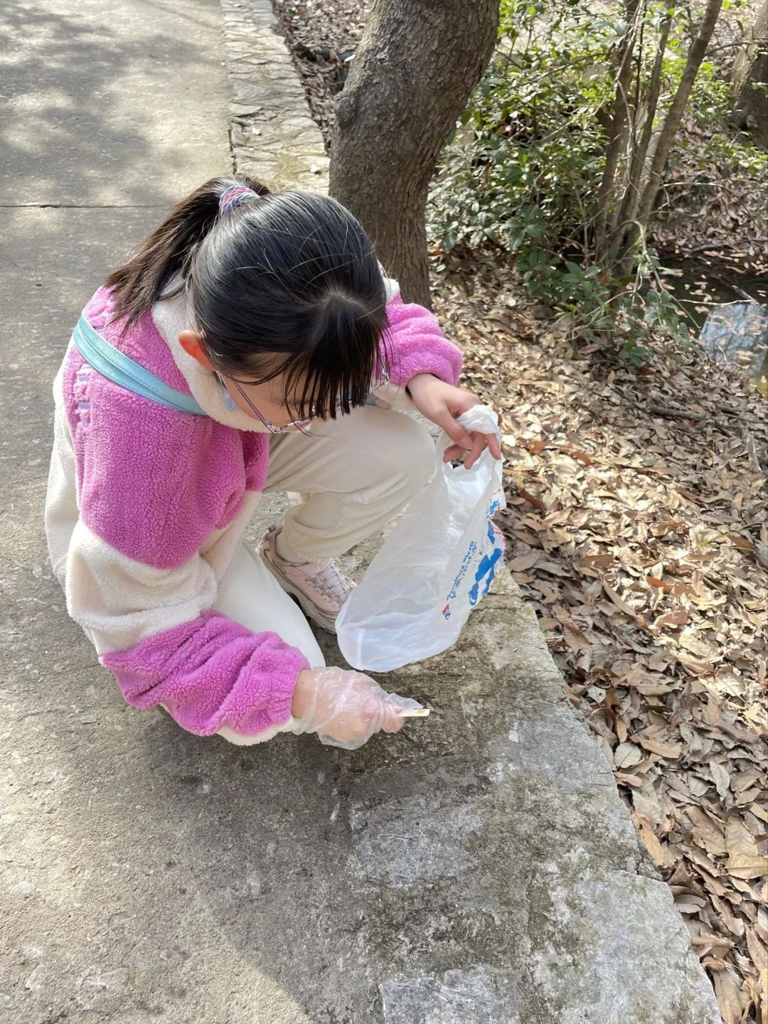 梅花山_html_maa0c8b9.jpg
