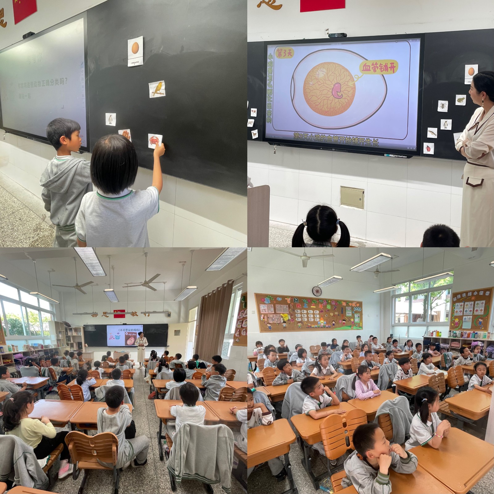 （南京市紫金小学）紫金小学“知之学堂”（36）