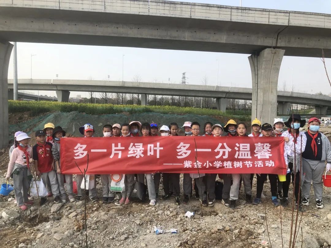 【书院紫金】拥抱春天，播种绿色——记紫金小学开展植树节活动