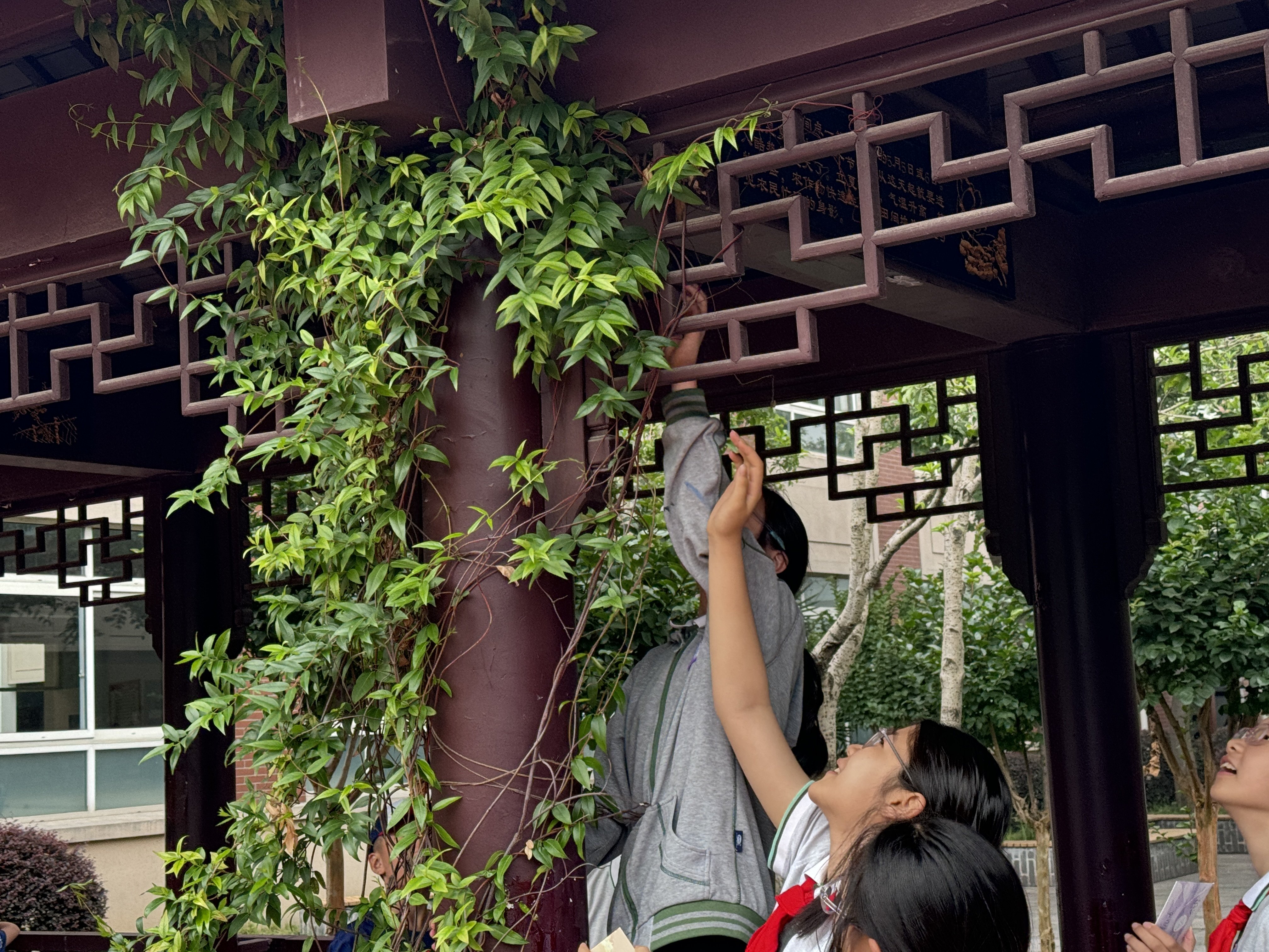 2024.06.26共忆来时路，永踏新征程——记紫金小学2018级六年级毕业典礼_html_m587a8849.jpg