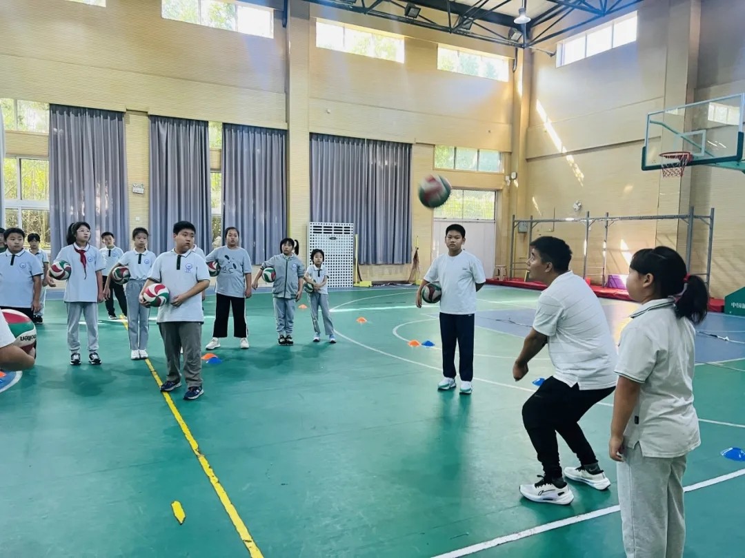【书院紫金】以研促教 教学相长——紫金小学体育学科“知新课堂”系列活动（一）