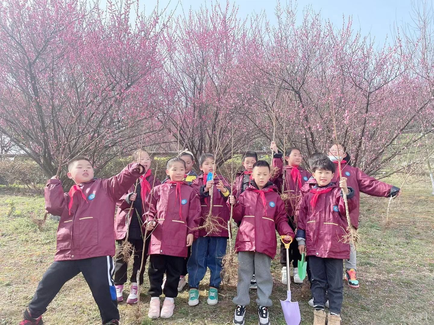 学雷锋植树、环保活动2.jpg