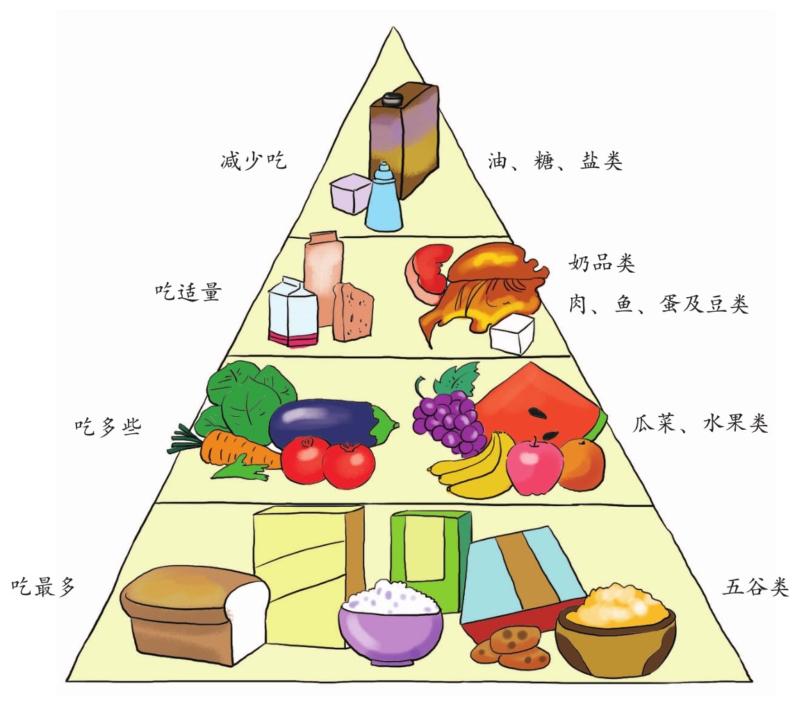 健康饮食金字塔.jpg