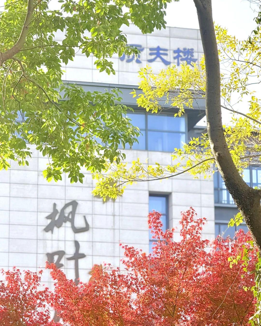 【秋韵流转处 栖中景华殊】