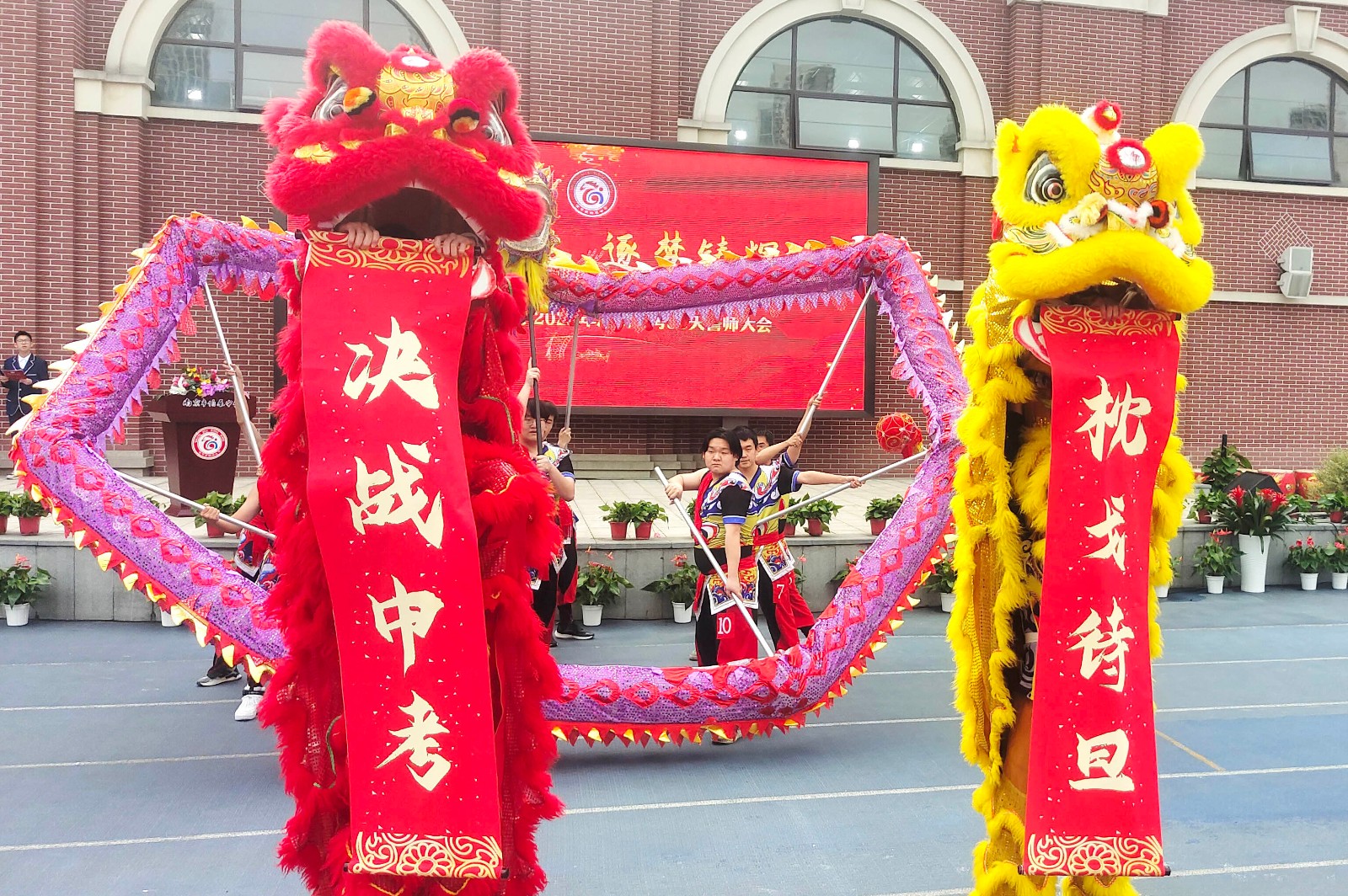1b10679a6e61fc046c8187263d438ca.jpg