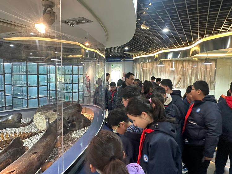 2025.3.12探秘珍稀动植物，邂逅奇妙大自然——龙潭中心小学开展“知行”校外实践活动_html_m2f139c9f.jpg