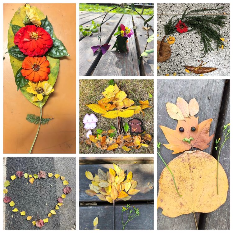 探秘植物王国 感受自然奇妙——龙潭中心小学开展2025年秋季社会实践活动_html_m139435db.jpg