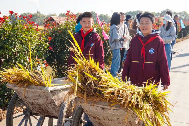 【江韵先锋·团队活动】“体验农耕辛劳，品味丰收喜悦”——记长江小学南中村秋收实践活动