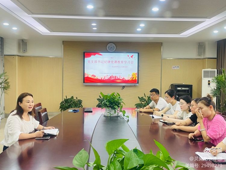 【灵美龙小&middot;党建】“党支部书记纪律党课教育学习会之党支部书记上纪律党课”主题教育学习_html_m1c09ca69.jpg