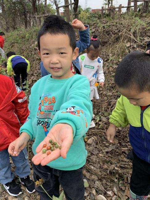 【枫香栖幼】探索自然 与你“童”行  ——记栖霞幼儿园翡翠天域园大班年级组主题课程审议活动