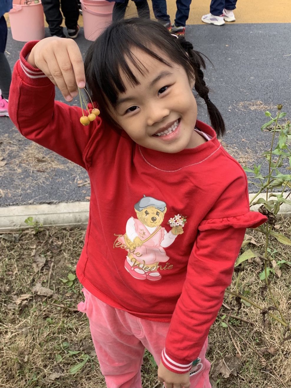 211018种子之秘 山林趣探_html_m12e4004e.jpg