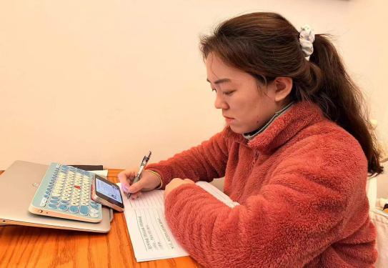 【枫香栖幼】深化课程审议 提升课程质量  ——记栖霞幼儿园石埠湾园线上学习活动