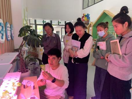 【枫香栖幼】专业示范赋师能 行思共研领前行  ——栖霞幼儿园翡翠天悦园业务培训