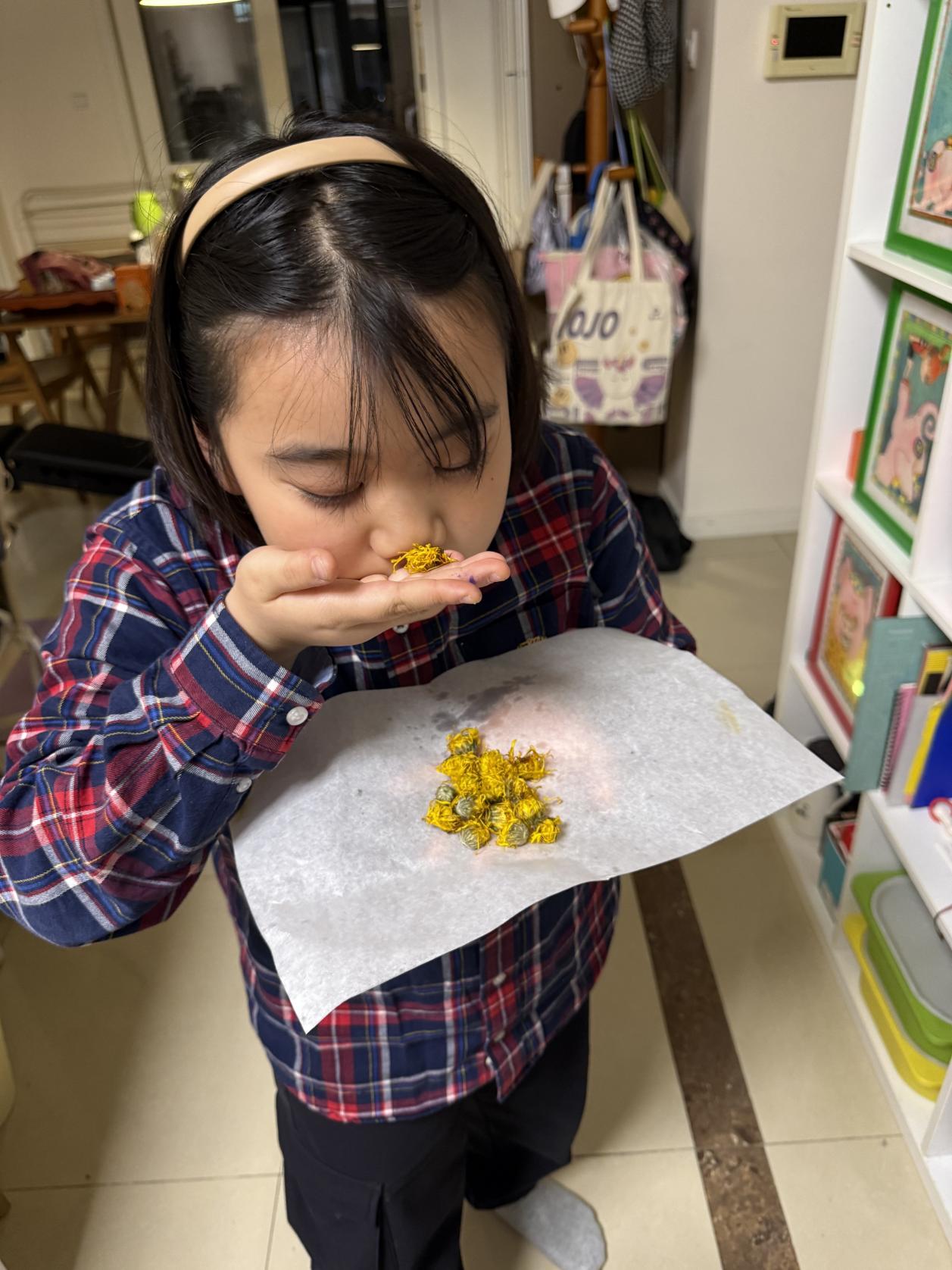 【博学广志】百草园里展风采 巧手烘制菊花茶_html_m7890aaa2.jpg