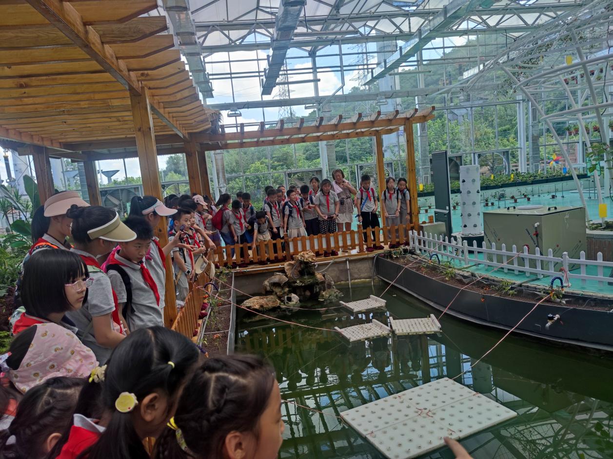 【博学广志】夏日劳作晓农事 科技研学促成长——记金陵小学（广志路校区）7.27日劳动研学活动_html_5801e17e.jpg