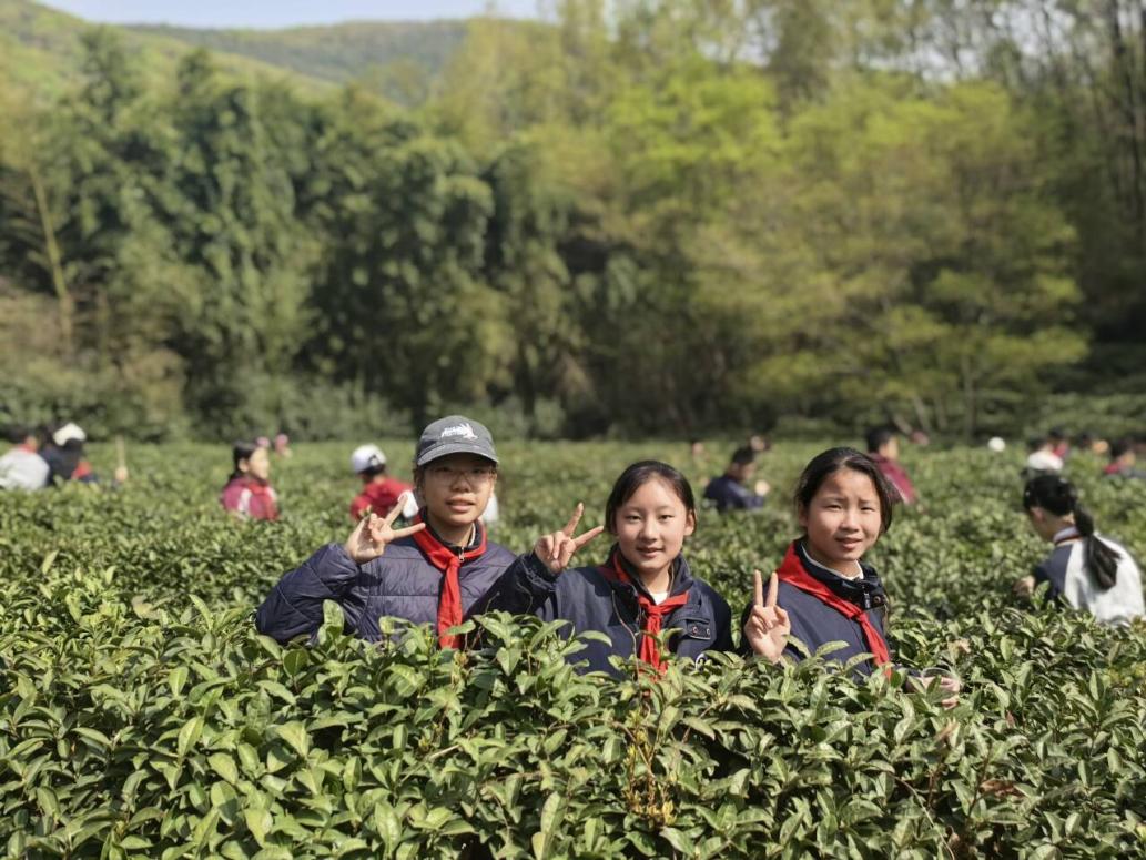 【湖畔·学生活动】走进春天 走进茶香 走进信仰——金陵小学（仙林湖校区）六年级春季综合实践活动_html_7a648256.jpg