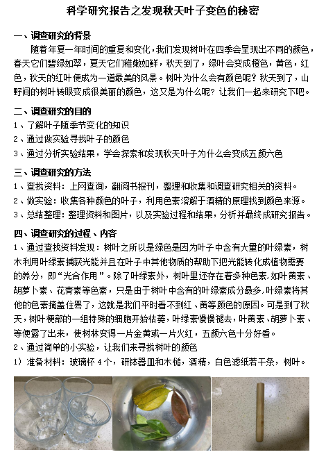 图片24.png