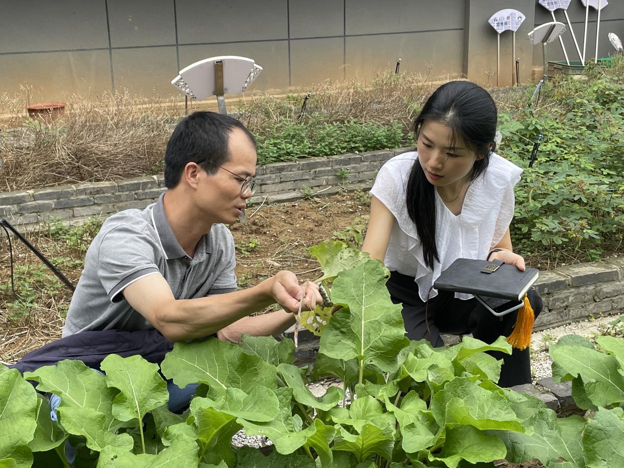 【博学广志】专家引领，助力学校特色发展_html_405b9a42.jpg