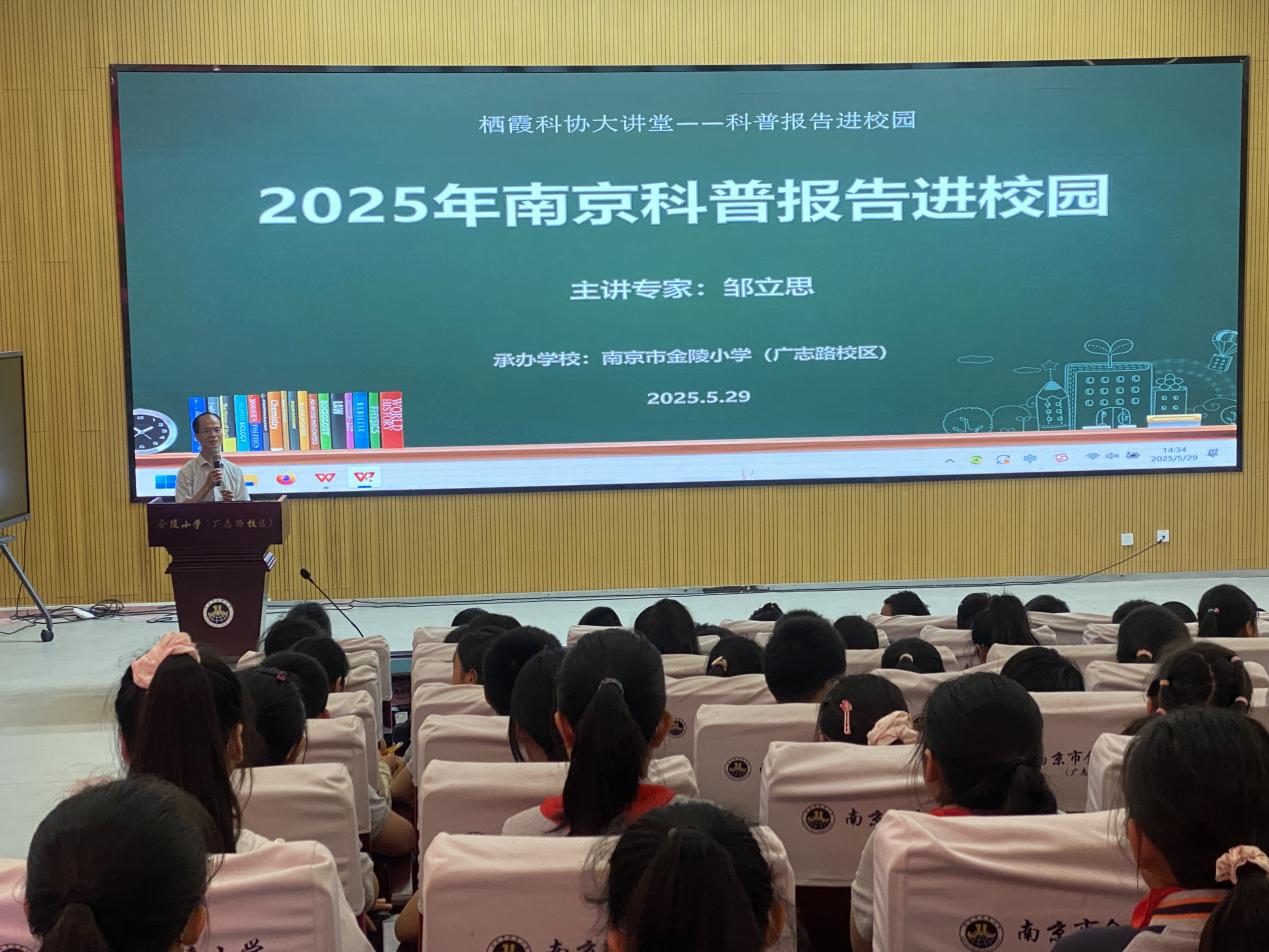与粽不同的植物_html_m5cd3e129.jpg