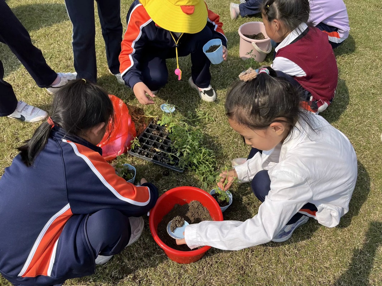 【湖畔·学生活动】感受自然之美——金陵小学（仙林湖校区）二年级秋季综合实践活动_html_35a913be.jpg