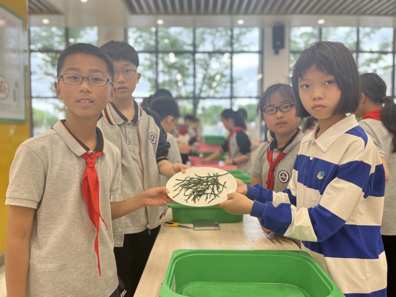【博学广志】中草药引领实践 蒲公英伴我成长n——金小广志五年级开展蒲公英茶的加工与识别_html_m2749fa60.jpg