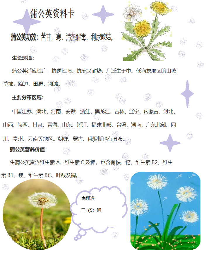 【博学广志】科普筑梦广志路，飞舞旅行蒲公英(1)_html_m2be427f2.png