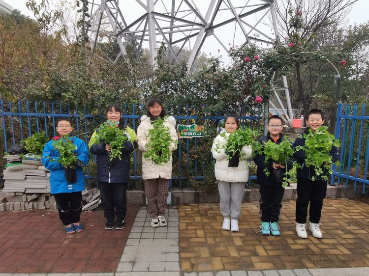 英语绘本与教材的融合_html_55571565.jpg