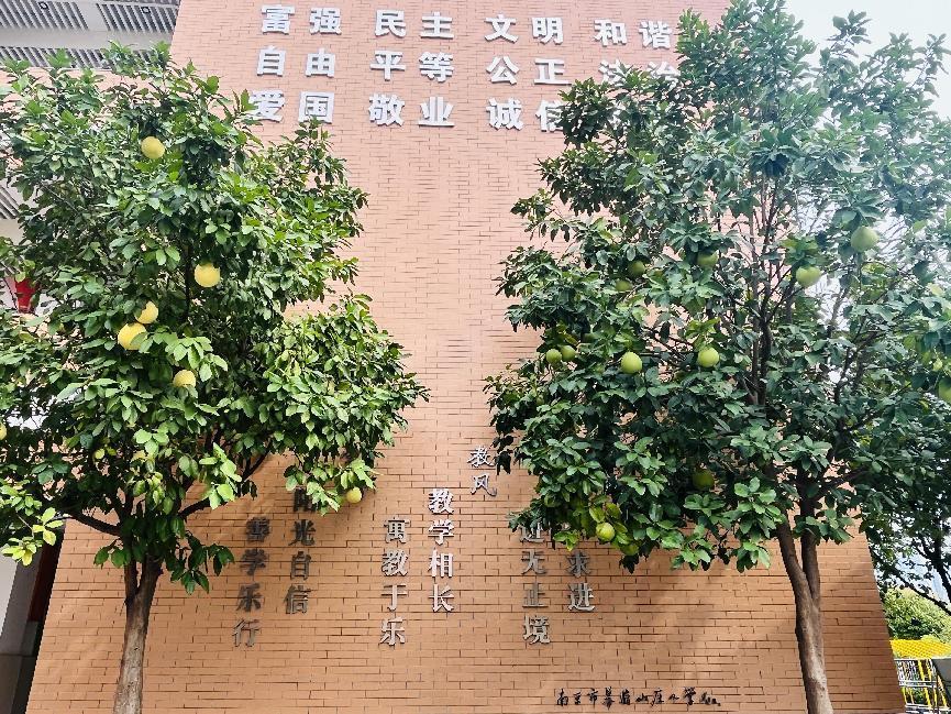 幕府校园秋景新闻稿_html_m48960b71.jpg