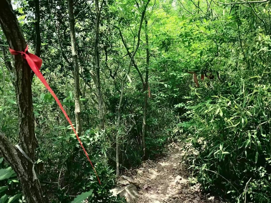 高骊山徒步(1)_html_me85dd7.jpg