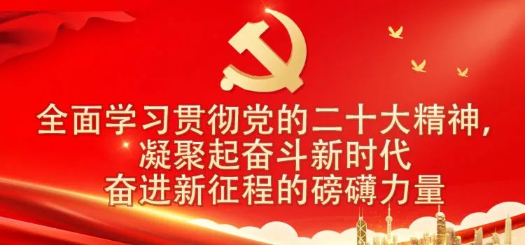 二十大精神.png