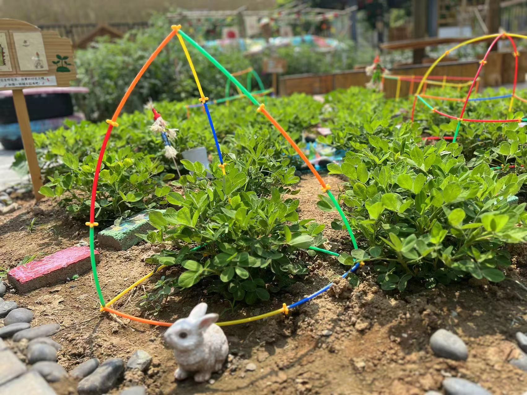 集团种植地评比新闻_html_6a8dfbc6.jpg