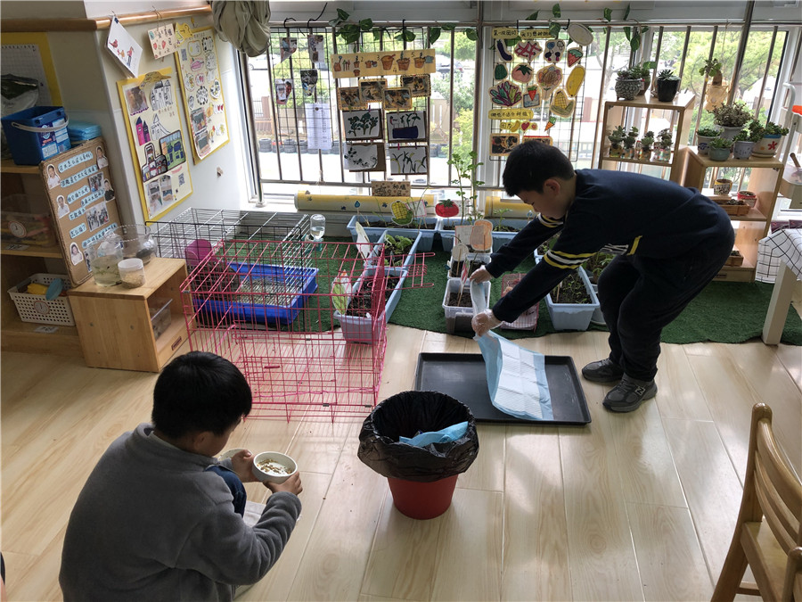 照顾小鸡宝宝.jpg