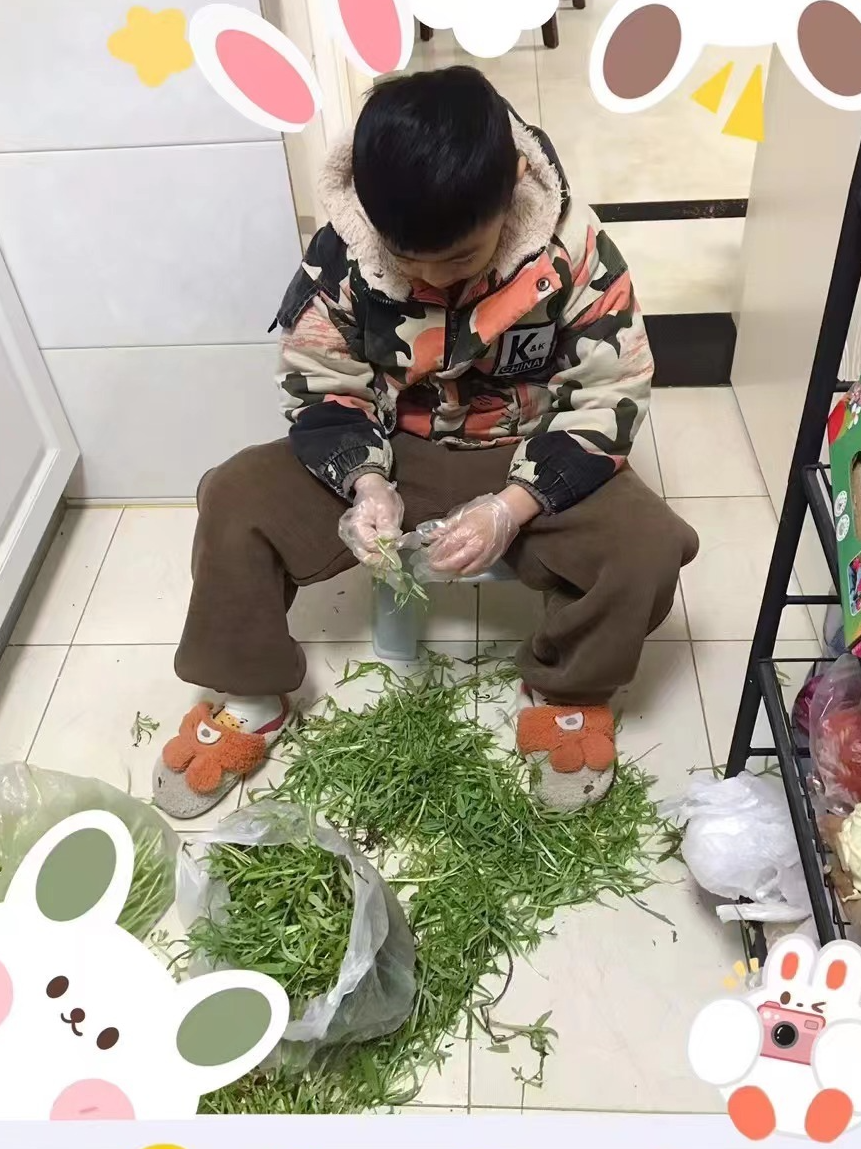 快乐成长篇7.png