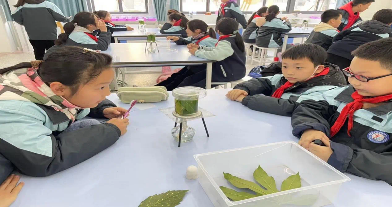 正学丁三(1)_html_m291532e1.png