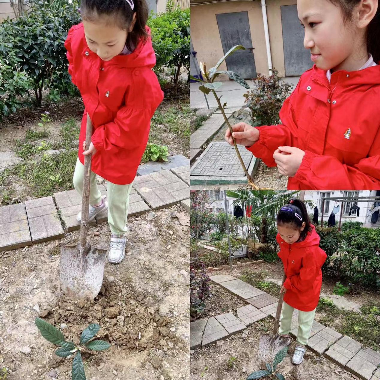 3月14植树添新绿，不负好春光植树节活动报道_html_63d4a83a.jpg
