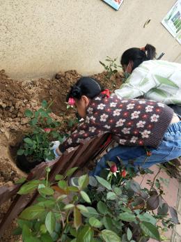3月14植树添新绿，不负好春光植树节活动报道_html_3127eab6.jpg