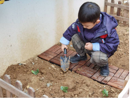 植树节_html_mce8d367.png