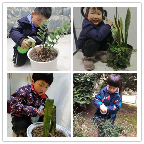 迈幼一分园3月12日植树节报道 （最终版本）_html_2928454b.jpg