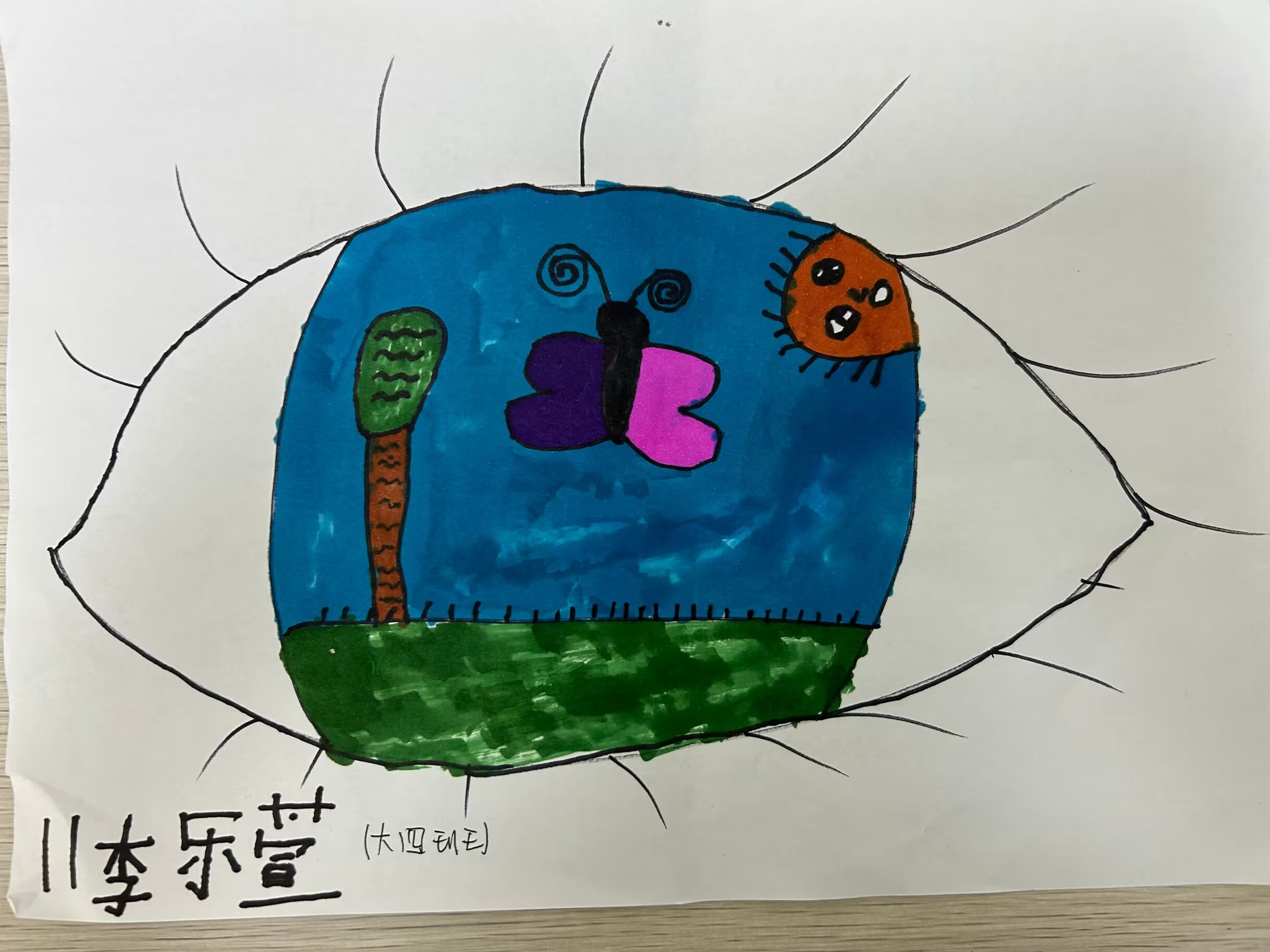 2023.6.6爱眼日活动_html_m6b776fd7.jpg
